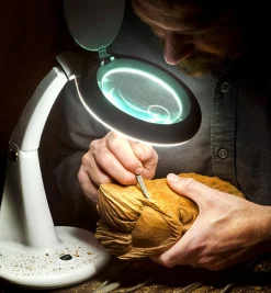 LED Tabletop Magnifying Lamp