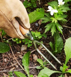 Lee Valley Container Garden Jekyll Weeder