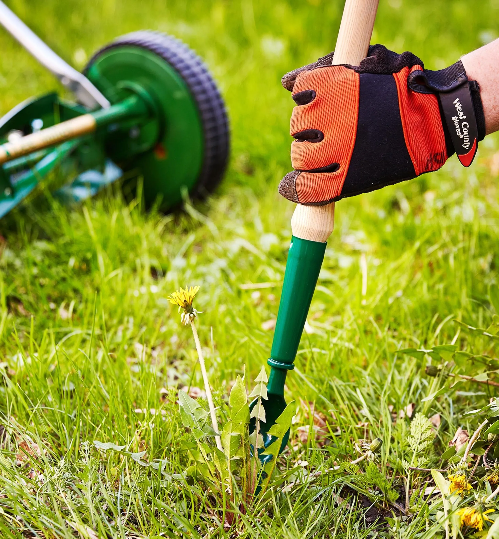 Lee Valley Dandelion Diggers