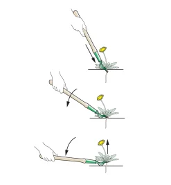 Lee Valley Dandelion Diggers