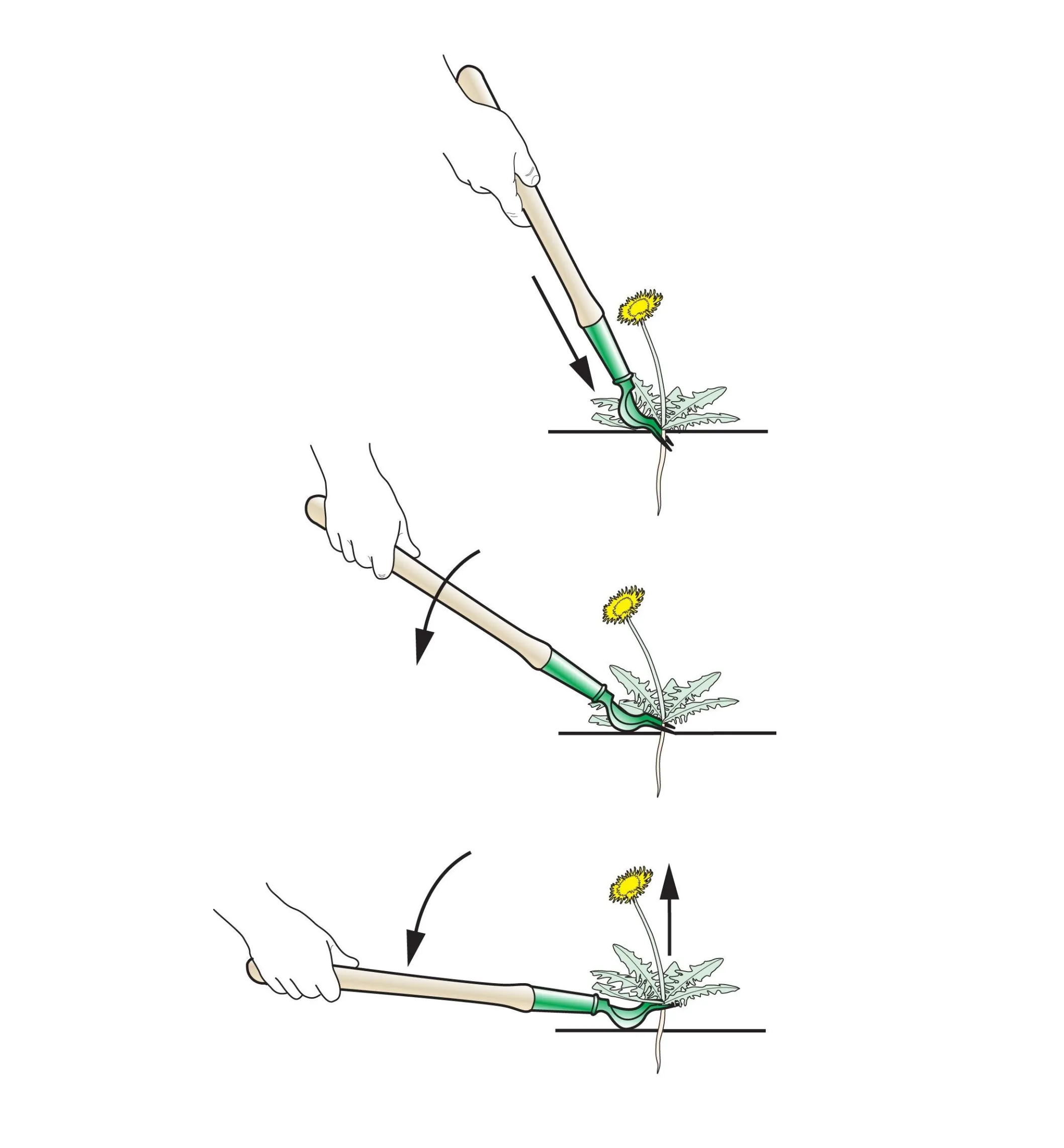 Lee Valley Dandelion Diggers