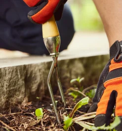 Lee Valley Jekyll Weeder