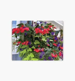 Lee Valley 16-Month Gardening Calendar