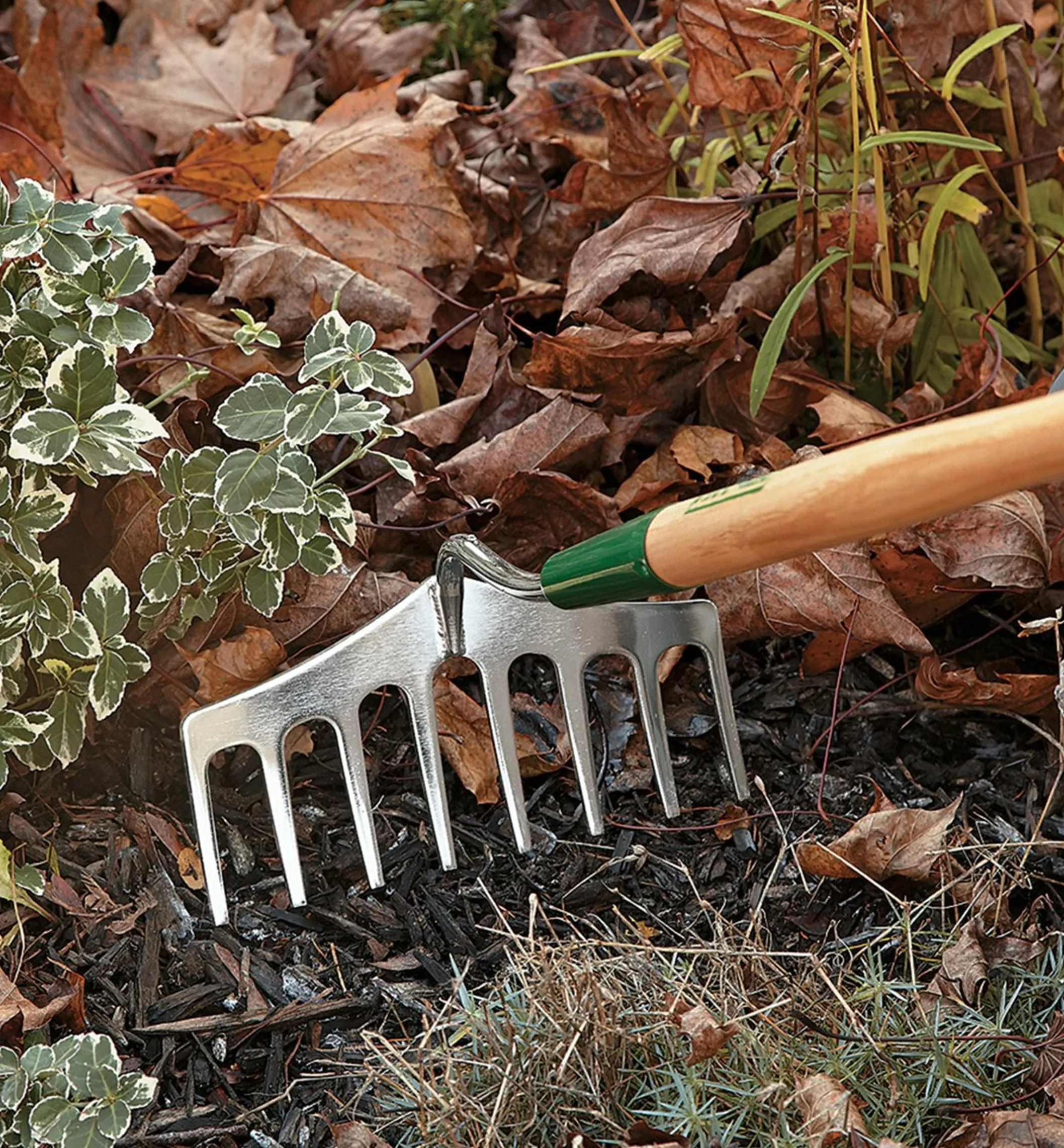 Lee Valley Narrow Rake