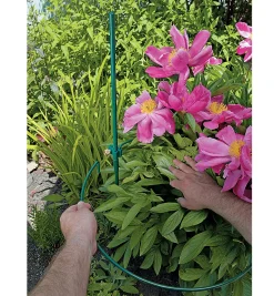 Lee Valley Peony Support