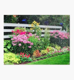 Lee Valley Puzzles (2022)