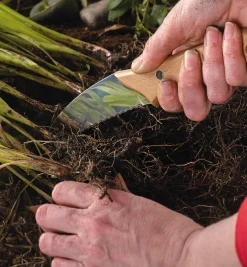 Lee Valley Root Knife