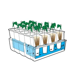 Lee Valley Self-Watering Seed Starter
