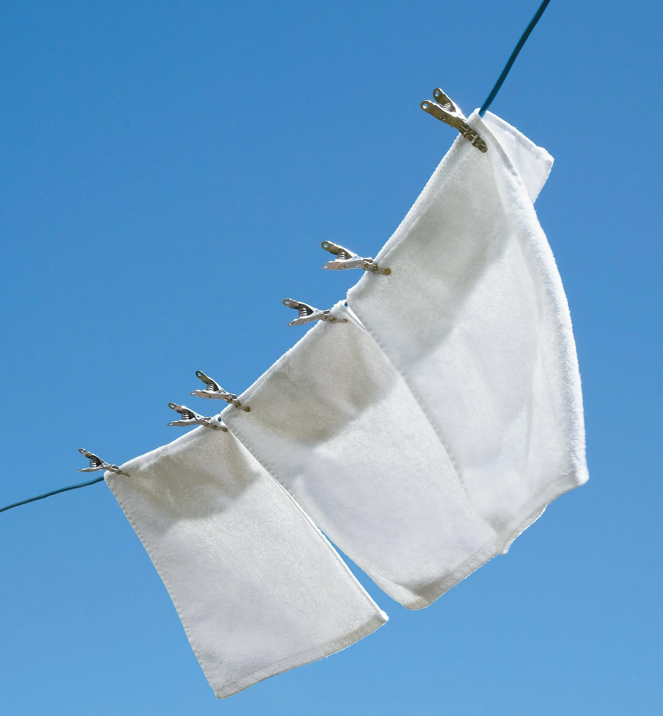 Lifetime Clothespins