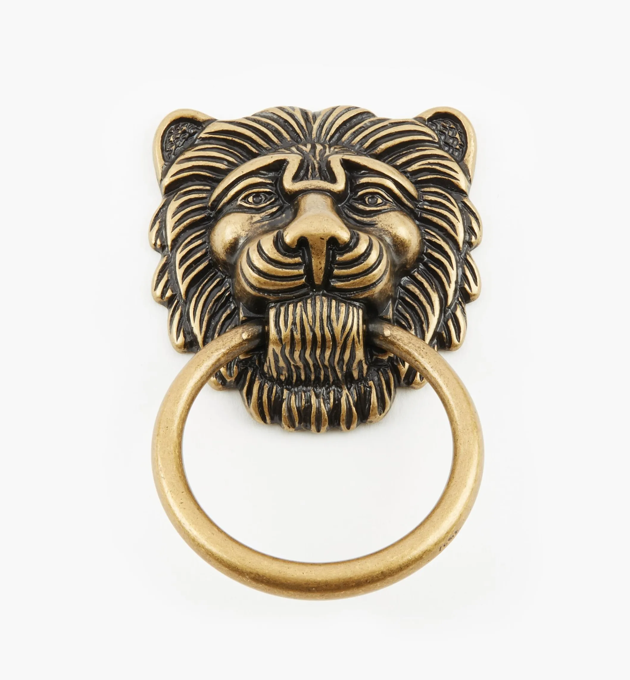 Lion's Head Ring Pulls