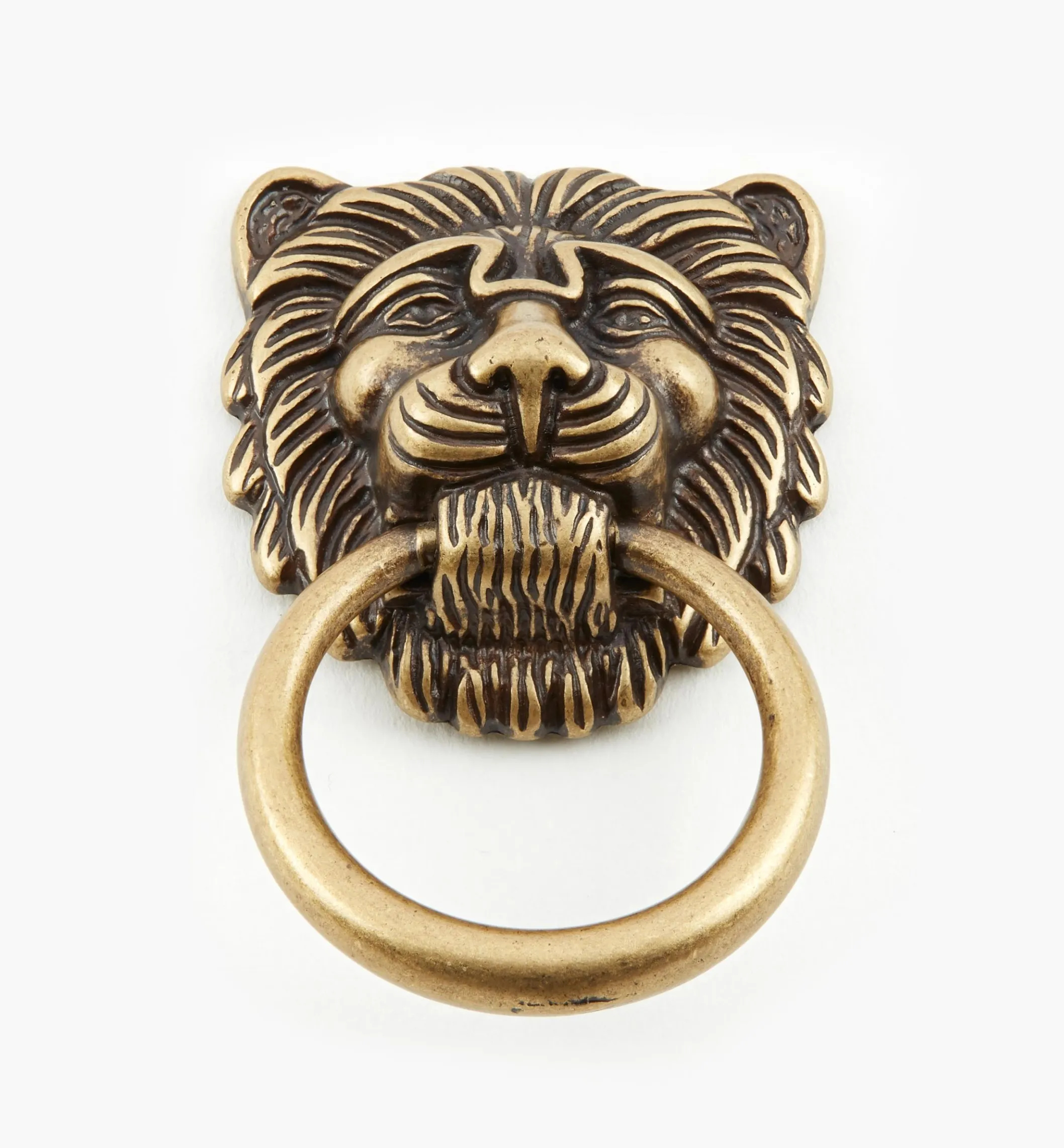 Lion's Head Ring Pulls