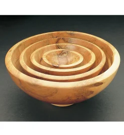 McNaughton Center-Saver System