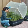 Medium Vegepod Container Garden