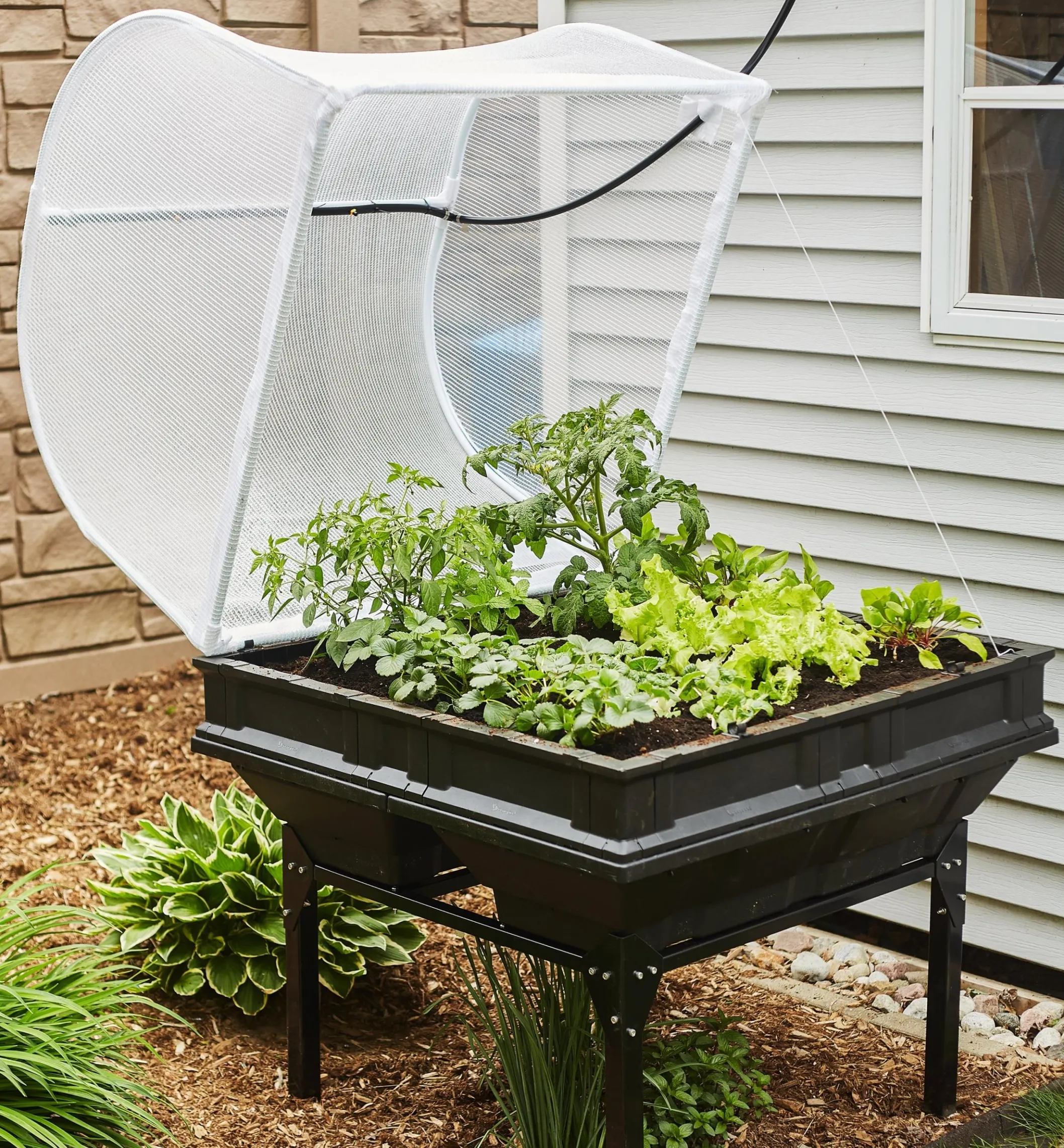 Medium Vegepod Container Garden