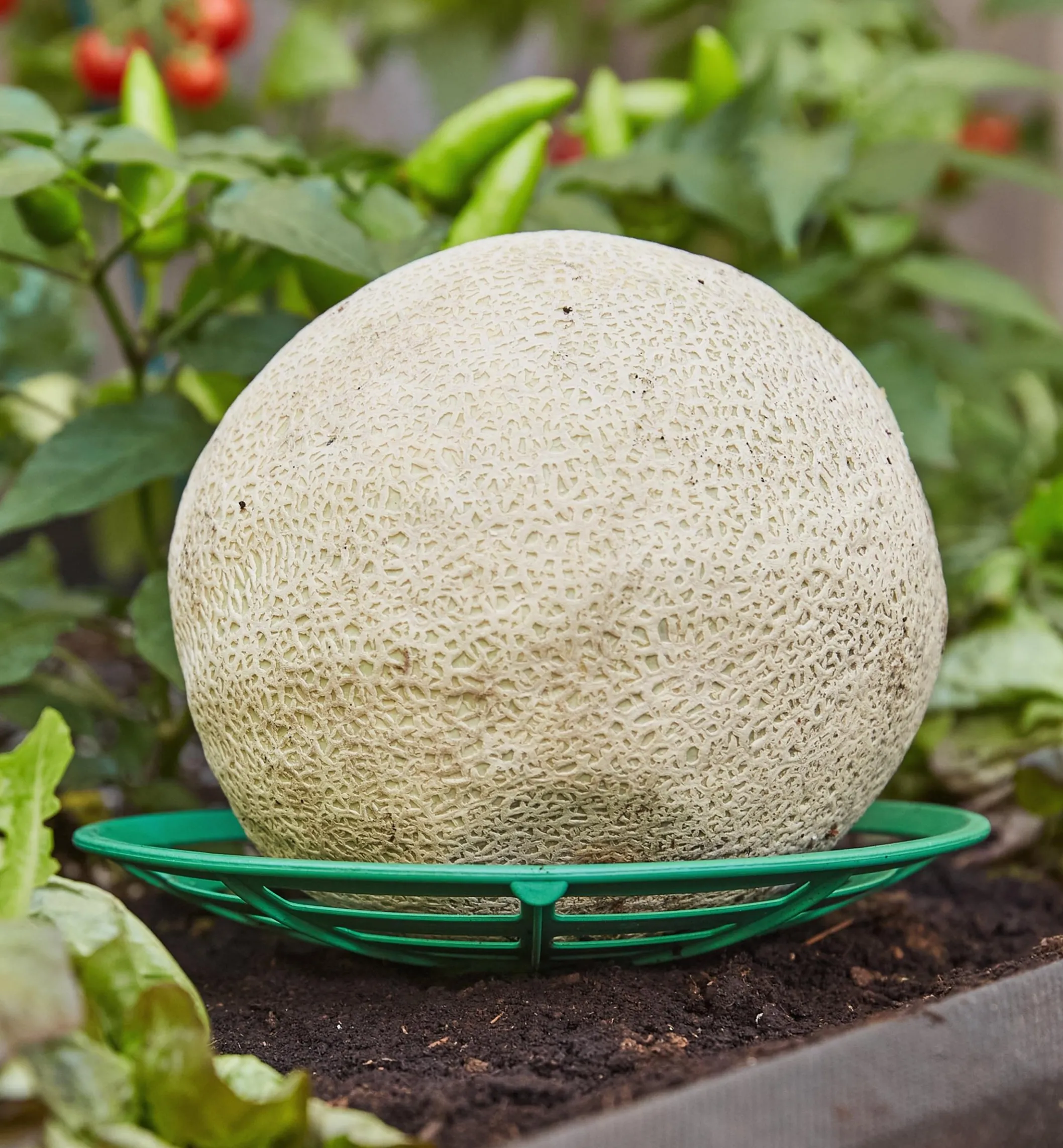 Melon/Squash Cradles