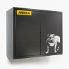 Mirka Wall-Mounted Storage Cabinet