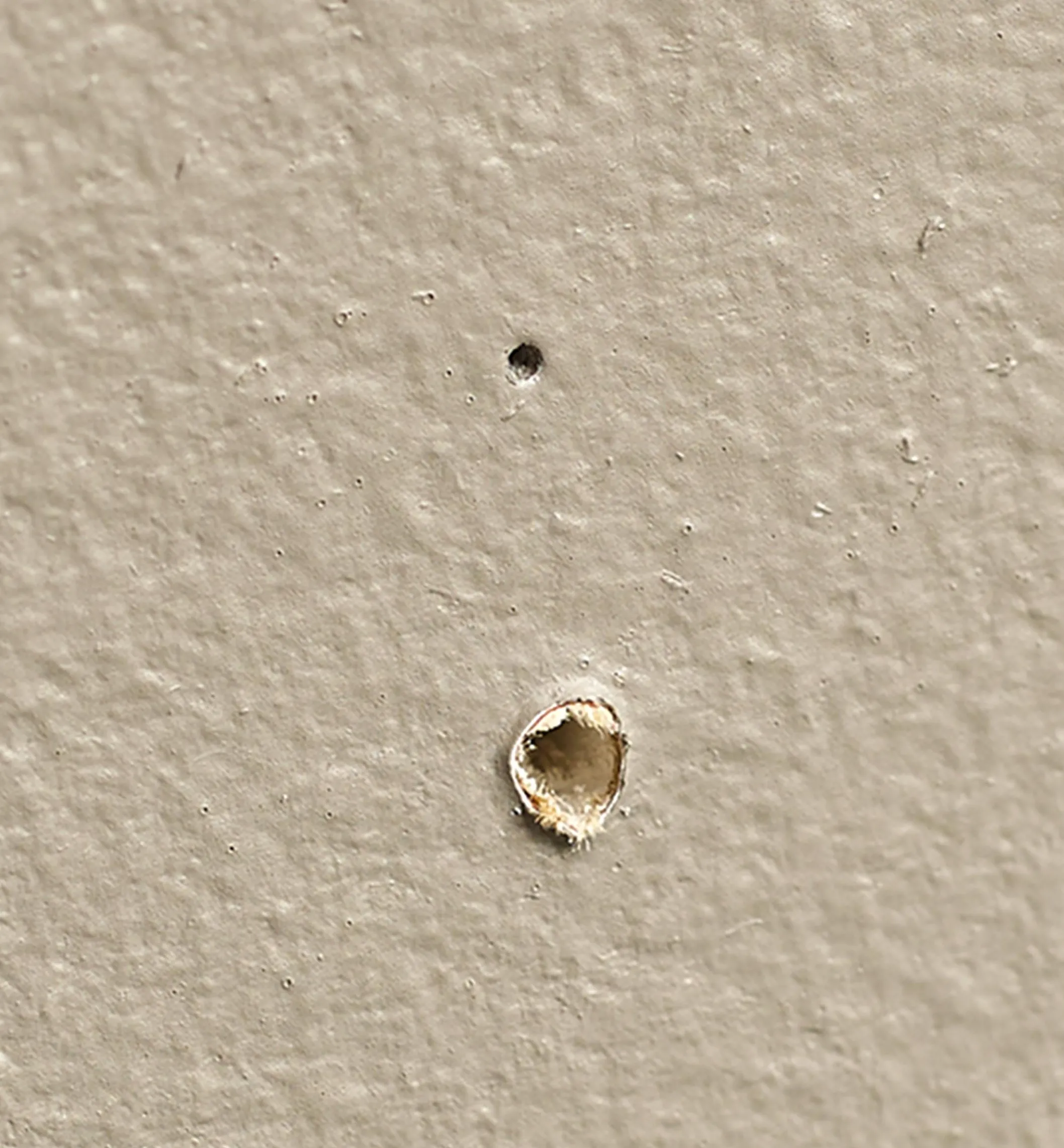 35mm Stud Finder With Magnet