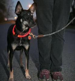 NiteHowl LED Pet Neckband