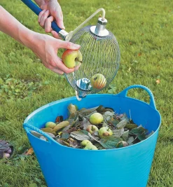 Nut & Fruit Gatherer