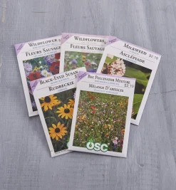 OSC Flower Seed Packets