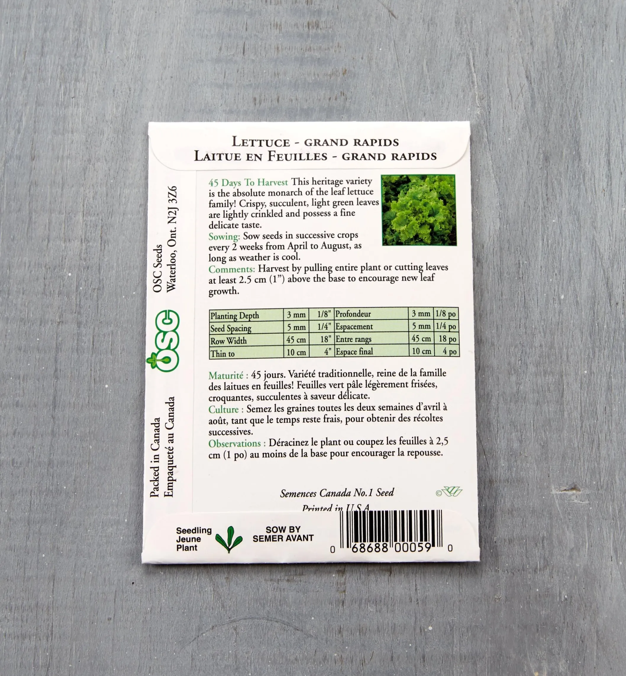 OSC Lettuce Seed Packets
