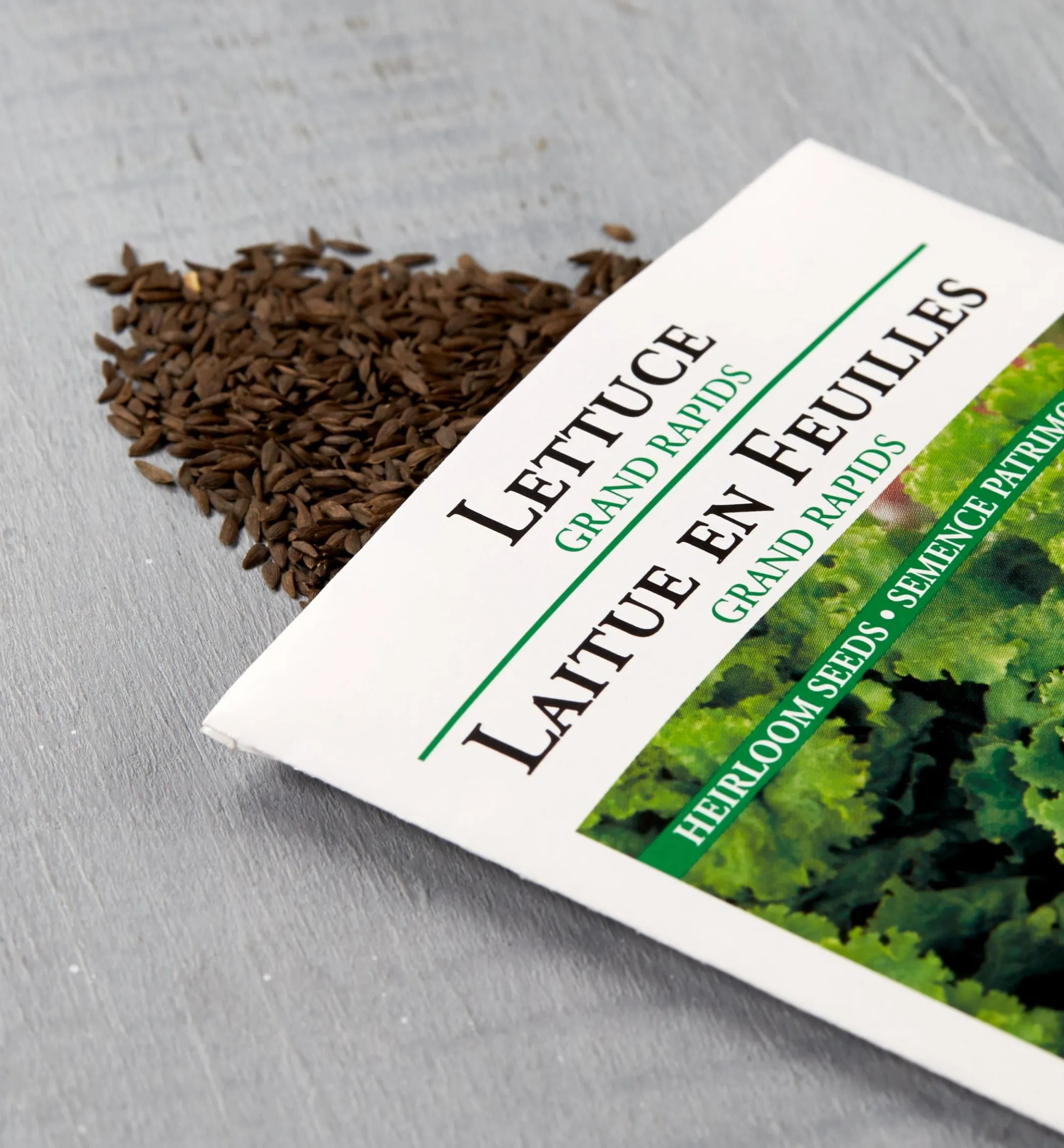 OSC Lettuce Seed Packets