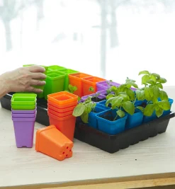 32-Pack Of 2 1/2" Multicolor Pots With Propagation Tray