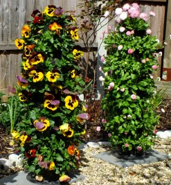 Pair Of Flower Towers