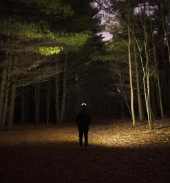 Pair Of Rechargeable COB Headlamps