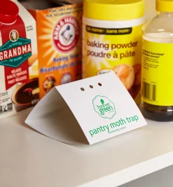 Pantry Moth Traps