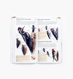 Pocket Birds Of Canada, 2nd Edition