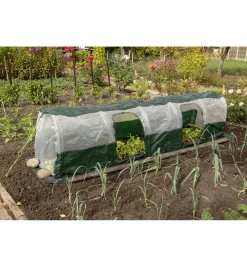 Poly Plant Tunnel
