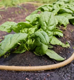 Polyurethane Soaker Hose