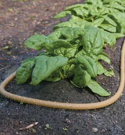 Polyurethane Soaker Hose