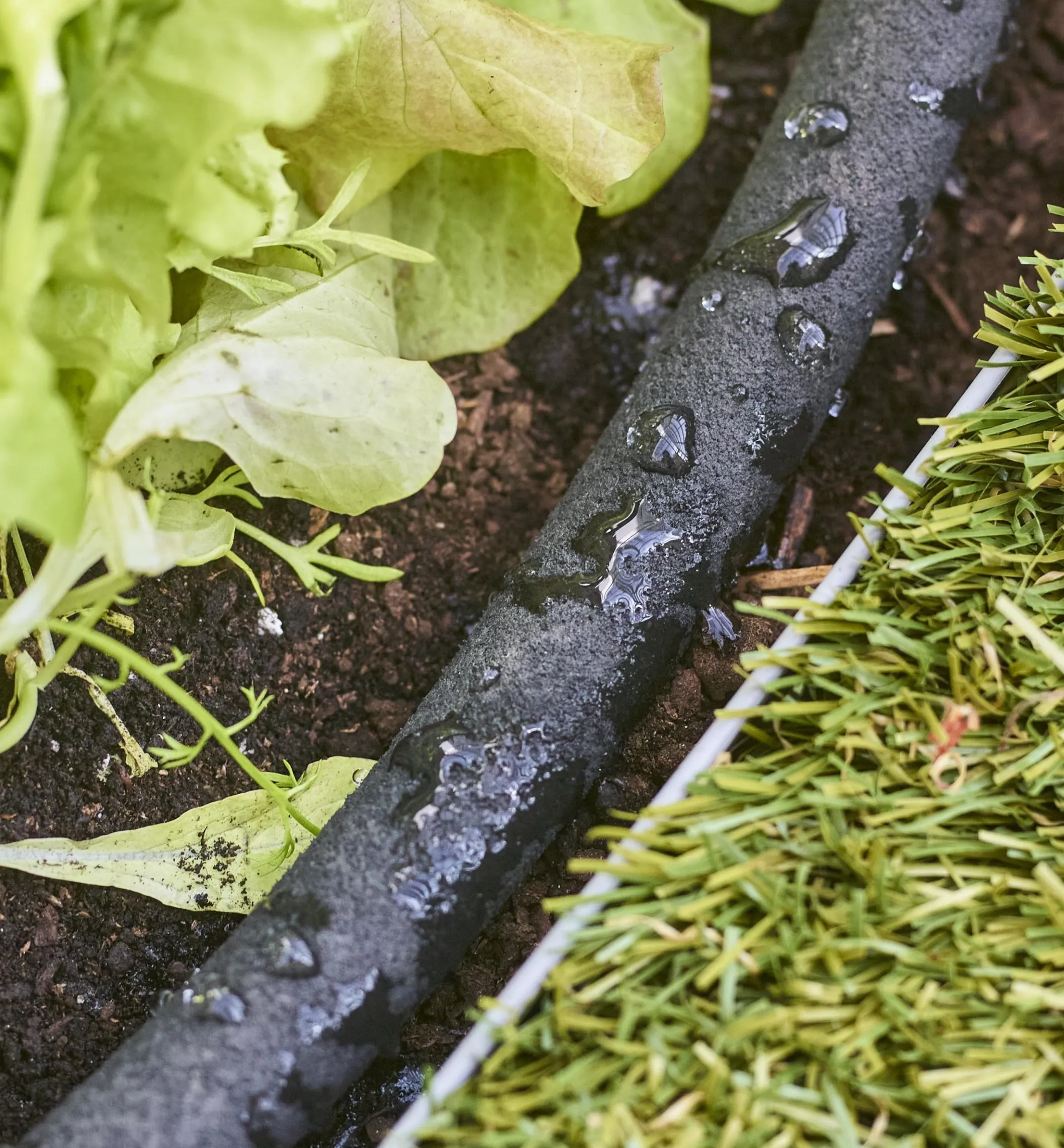 Professional Soaker Hose