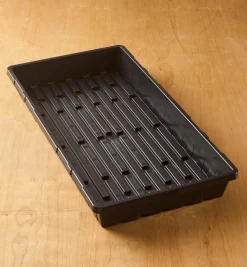 Propagation Tray