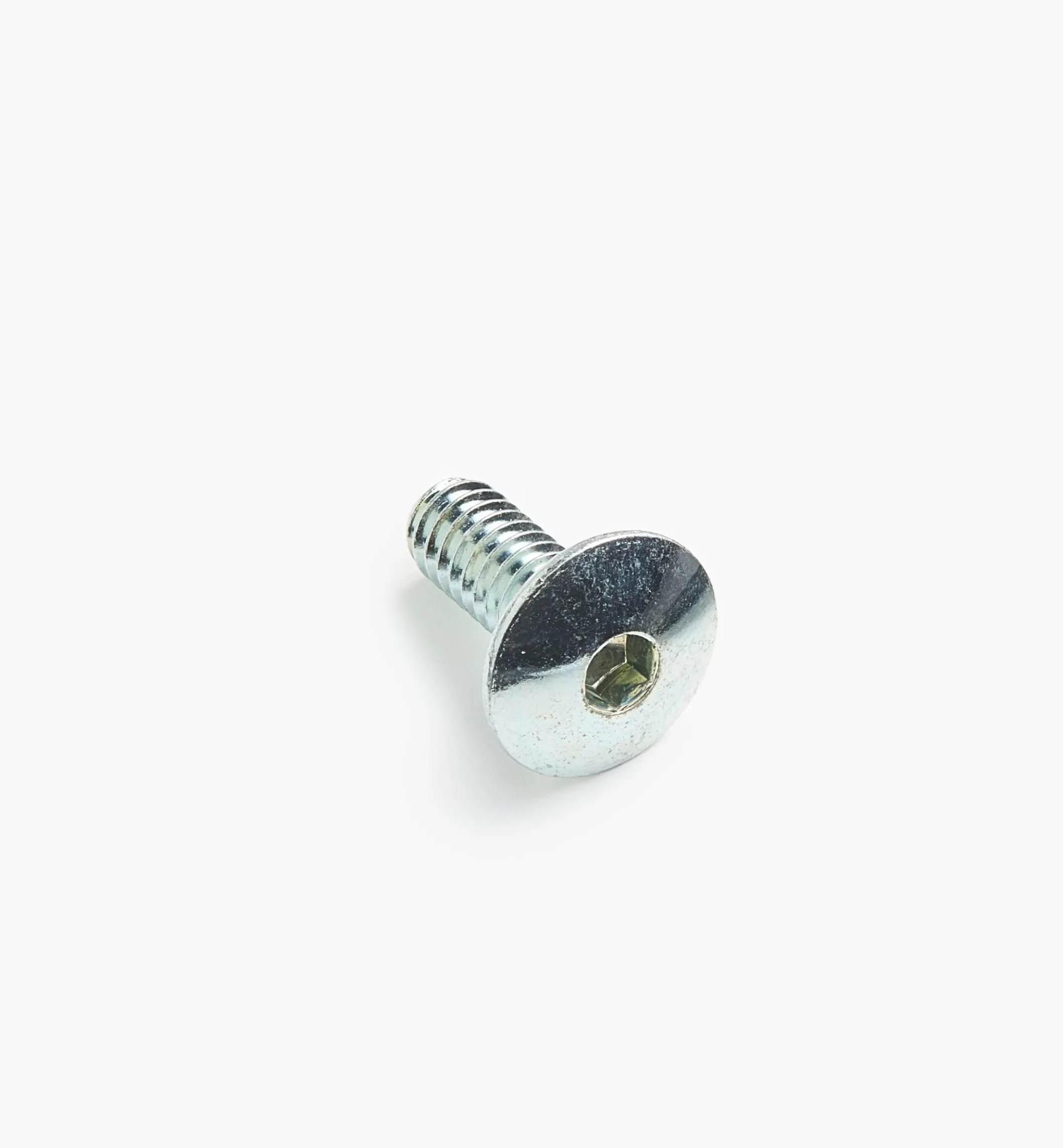 Rampa 1/4-20 Mushroom-Head Bolts