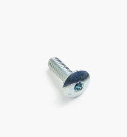 Rampa 1/4-20 Mushroom-Head Bolts