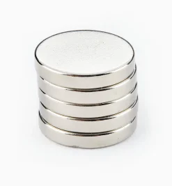 Rare-Earth Circular Magnets