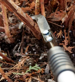 Raspberry Cane Cutter