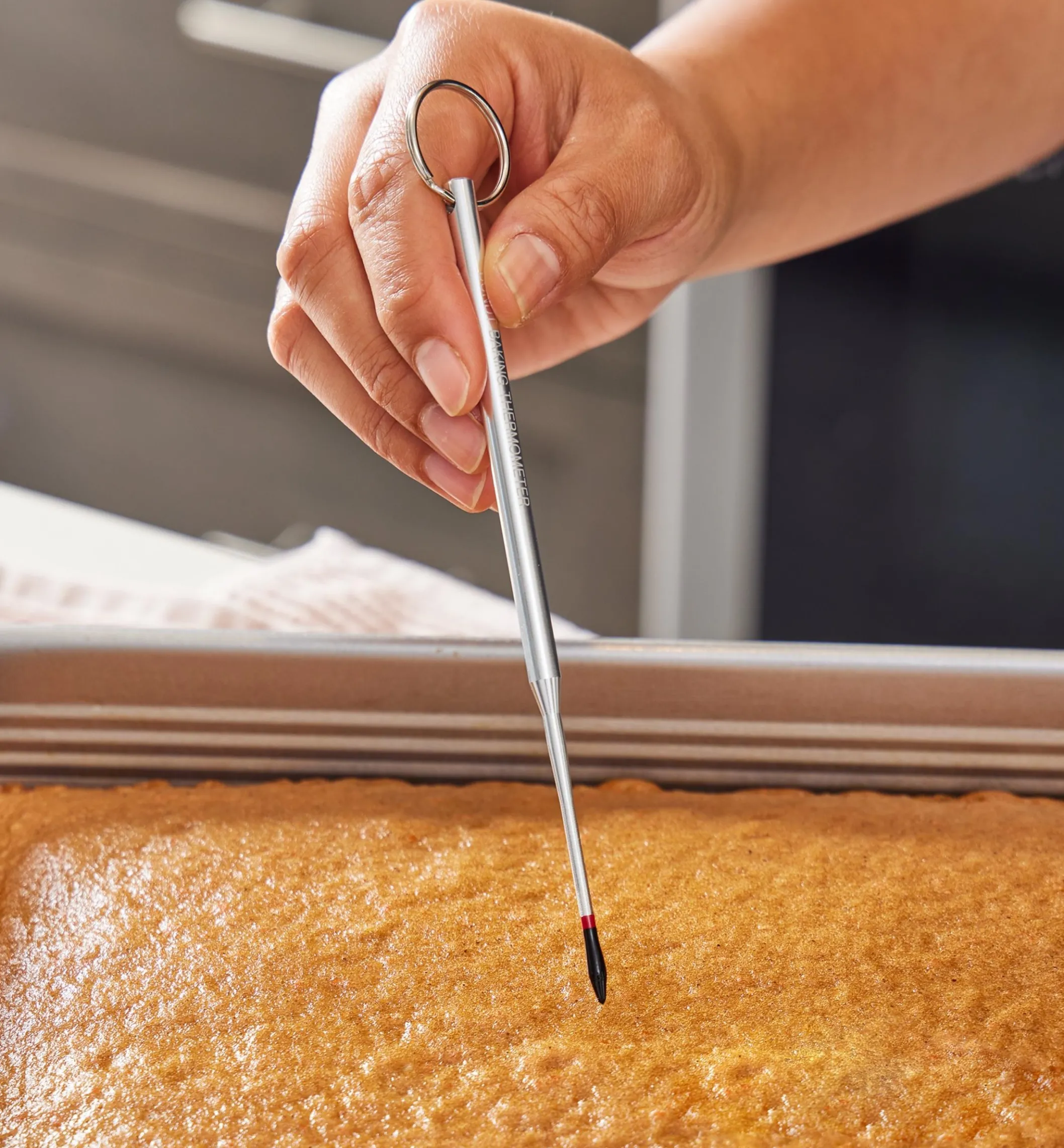 Reusable Cake Tester/Thermometer