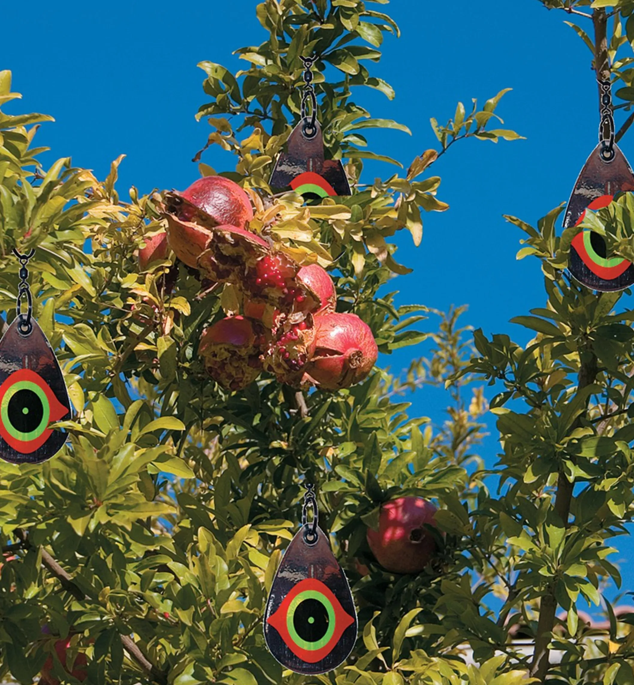Scare Eye Bird Deterrents