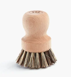 Scouring Brush