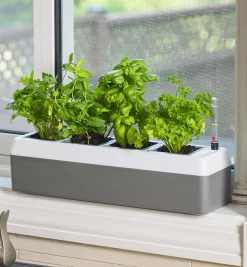 Self-Watering Windowsill Planter