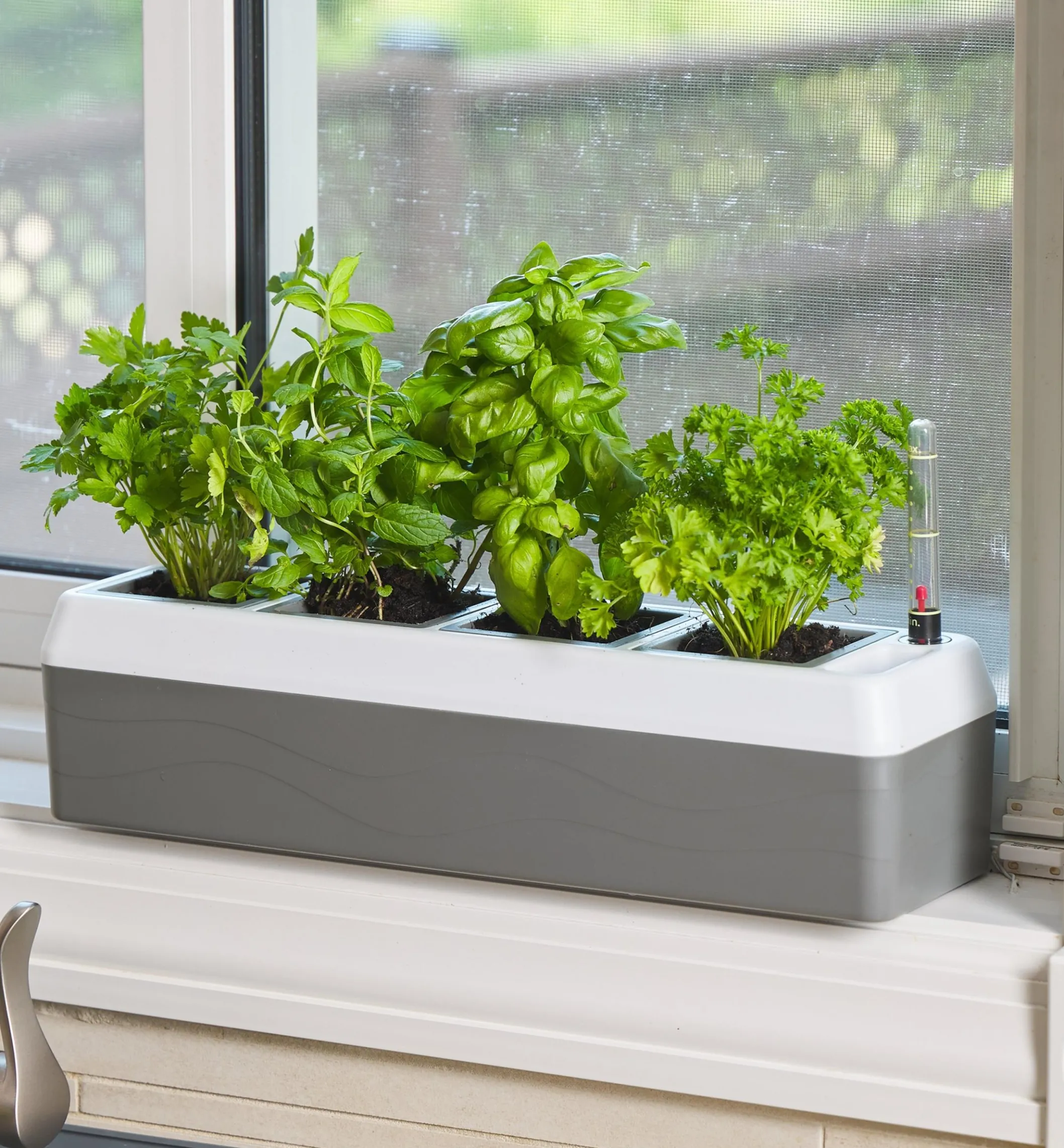 Self-Watering Windowsill Planter