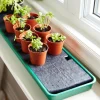 Self-Watering Windowsill Tray