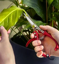 Set Of 2 Mini Garden Shears