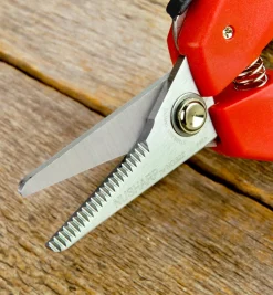 Set Of 2 Multi-Purpose Mini Shears