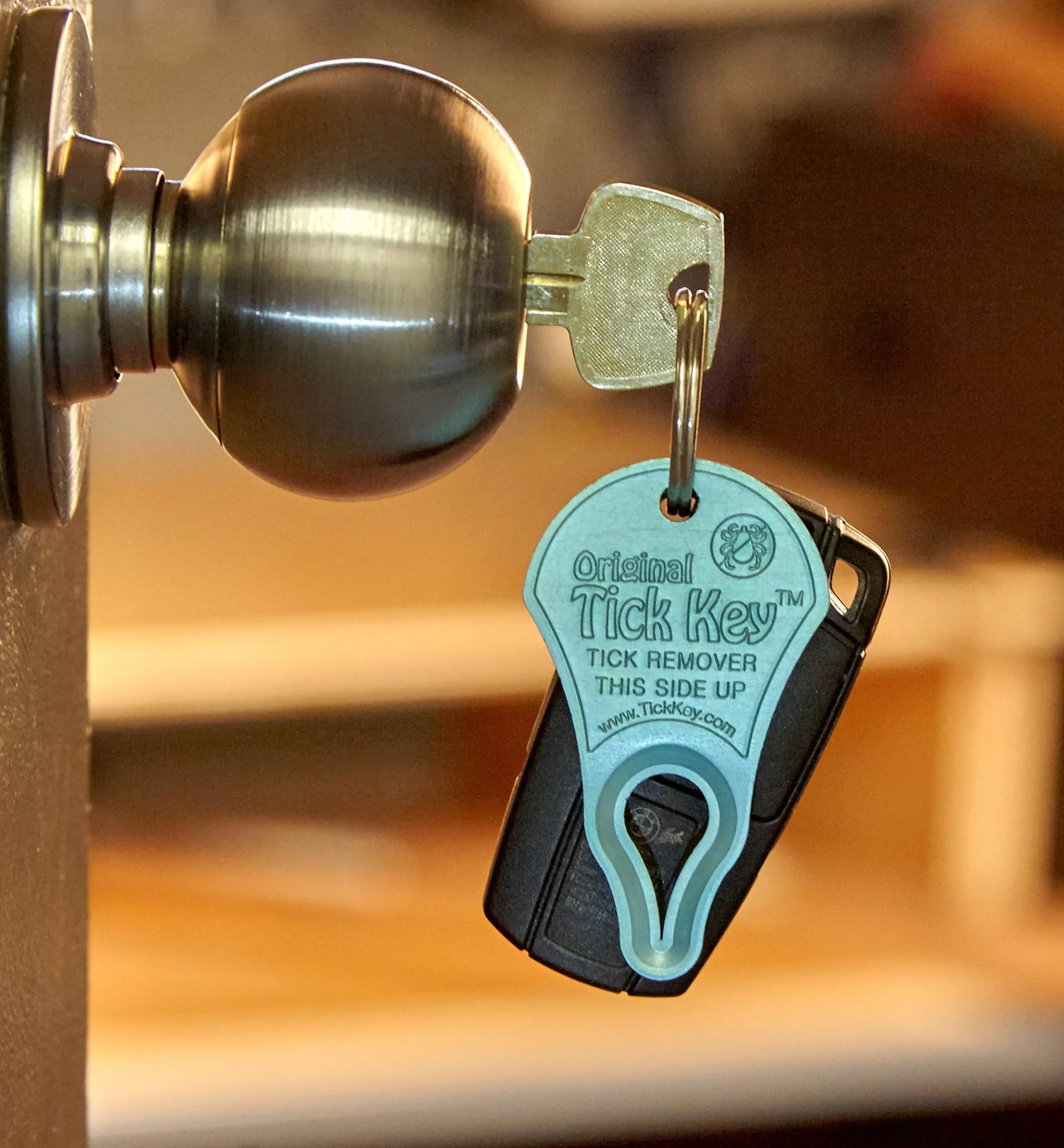 Set Of 3 Tick Key Tick Removers