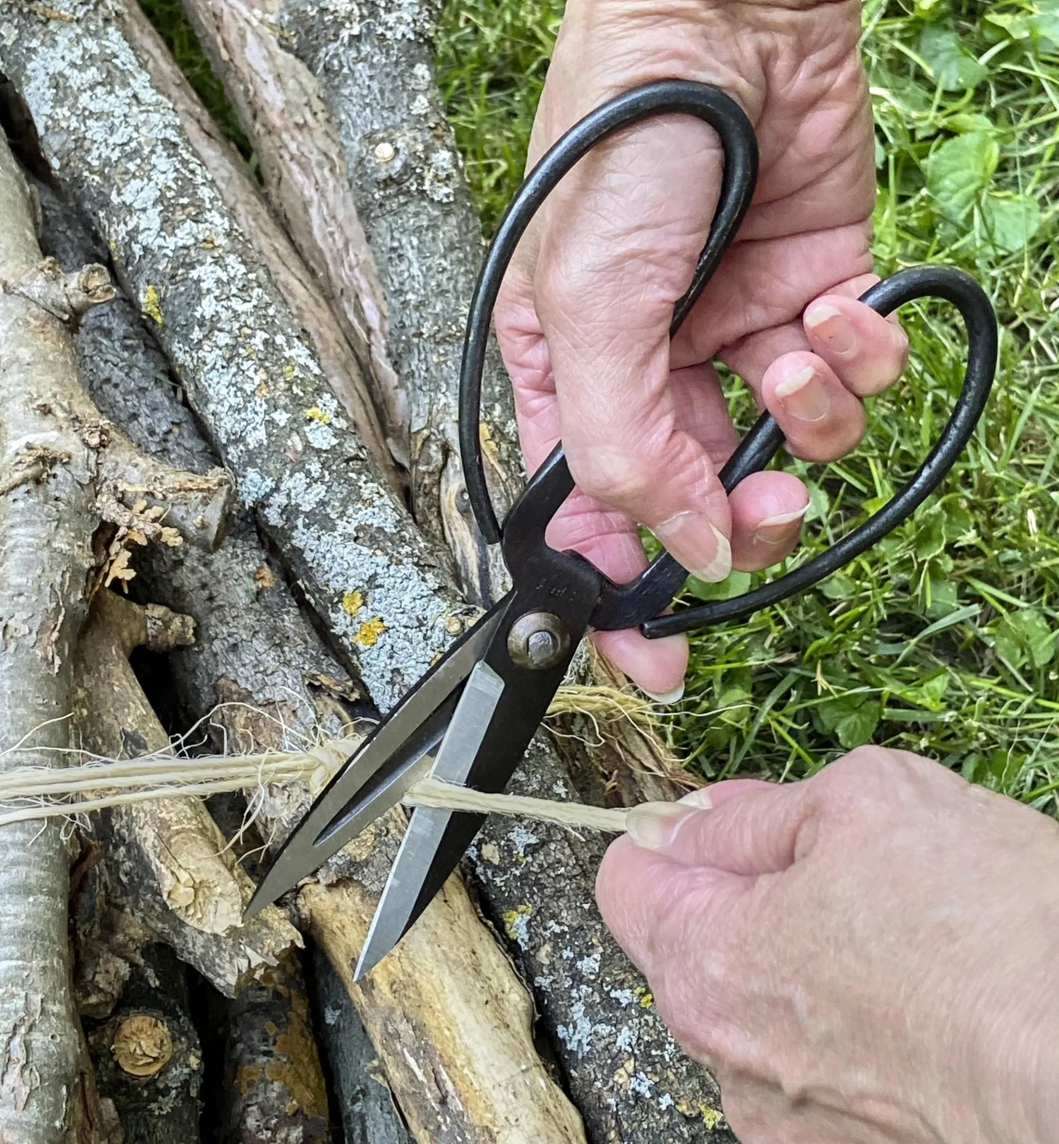 Set Of 3 Traditional Chinese Scissors